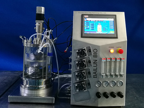 6061858b3cbc6.jpg 49.jpg