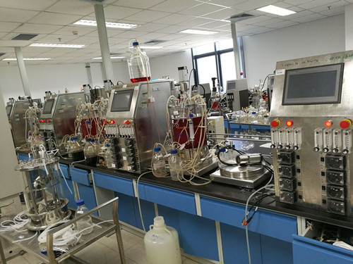 606185ac002ae.jpg 51.jpg