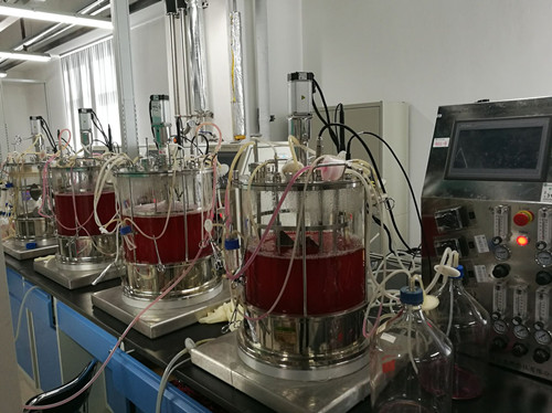 606185e77728f.jpg 53.jpg