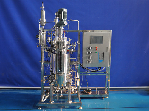 60618b8865c41.jpg 22.jpg